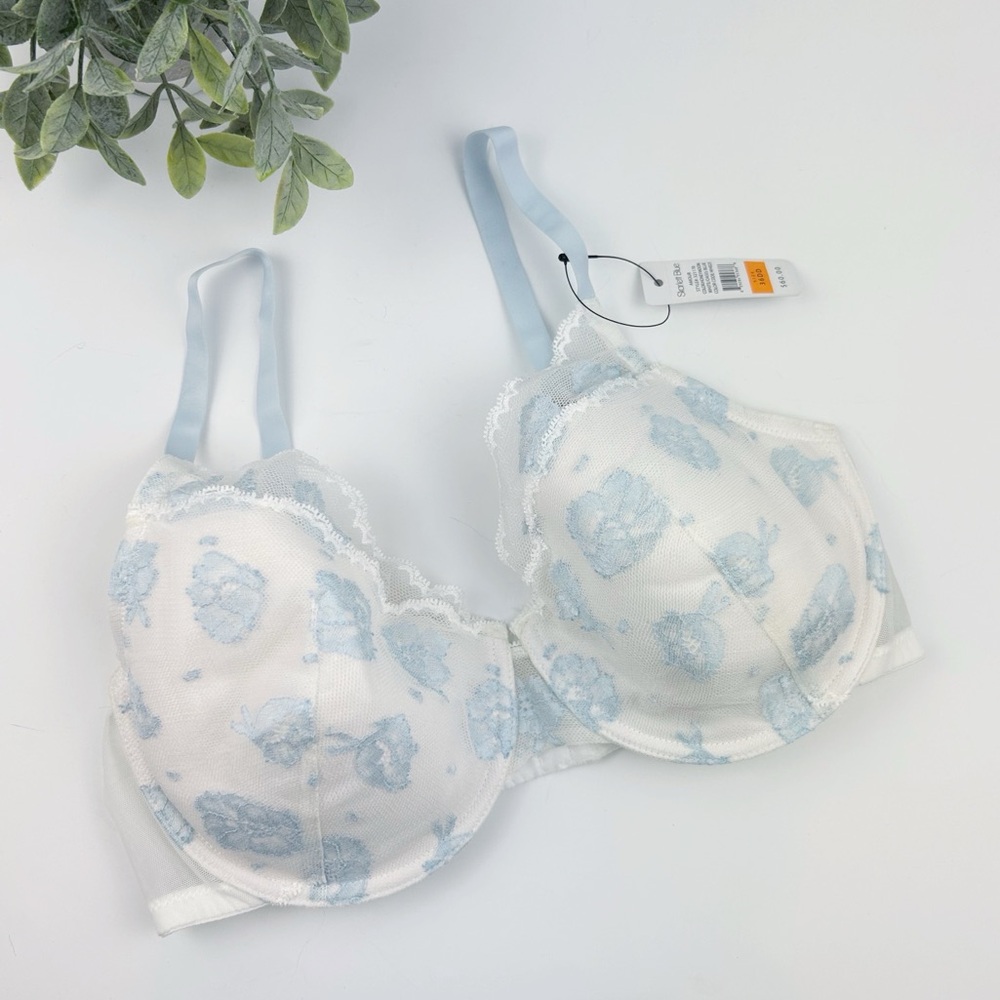 Skarlett Blue White and Blue Lace Amour Bra Size 36DD